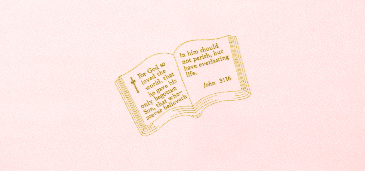Bible John 3-16 Pink Faux
